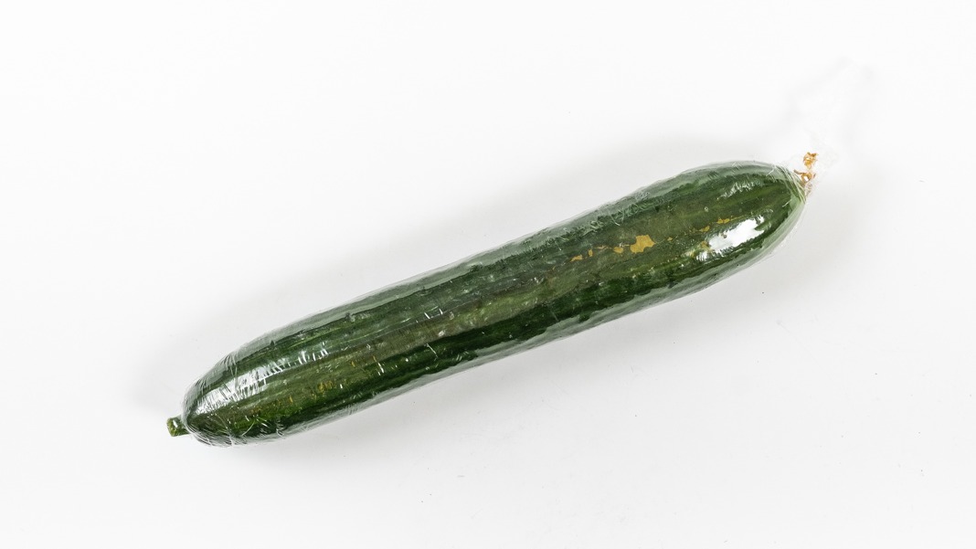 Okurka hadovka 1ks (280gr-300gr)