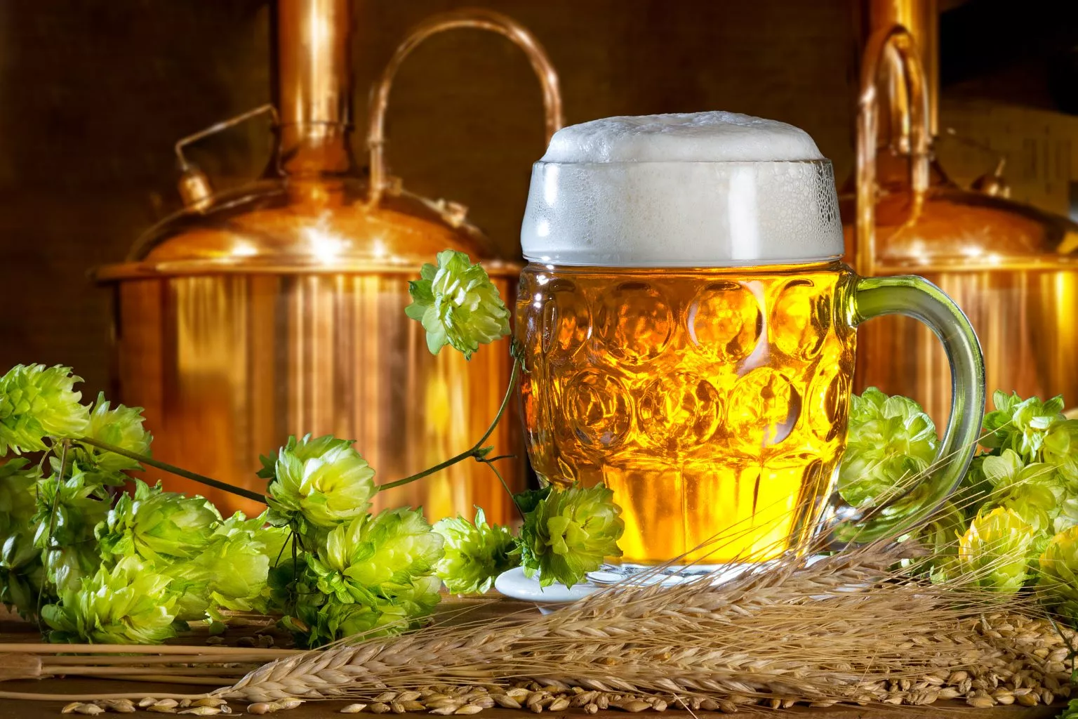 Pivo A Cider